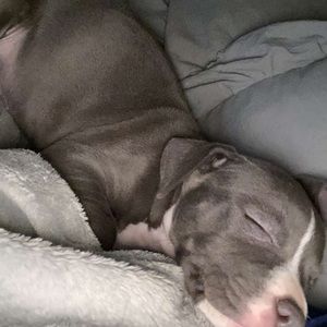 Meet your Posher, Brad